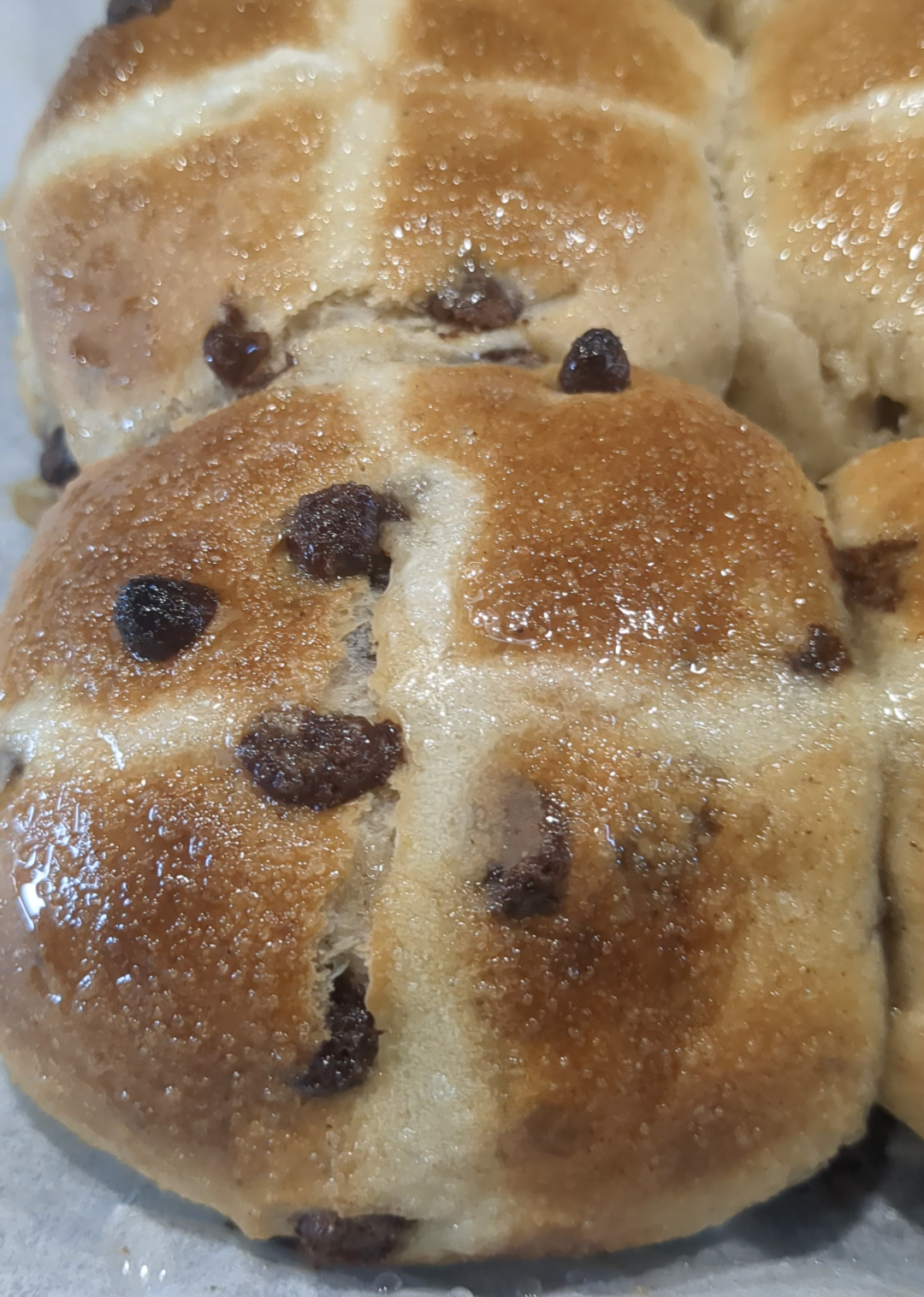 Chocolate Chip Hot Cross Buns – Pack of 4 (Easter Week Bake)
